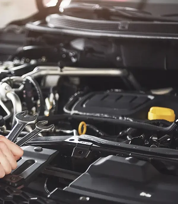 Polen filtresi değişimi