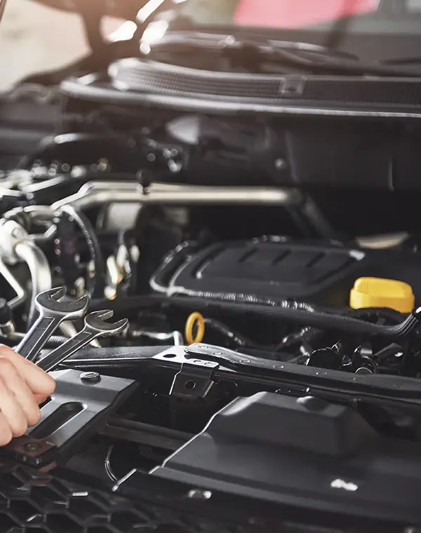 Polen filtresi değişimi